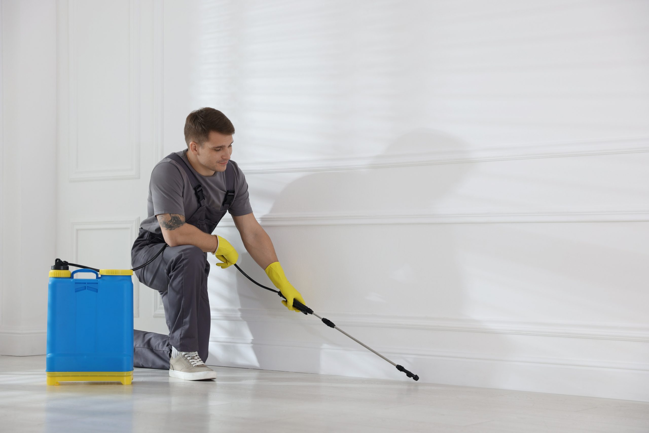 pest control canberra